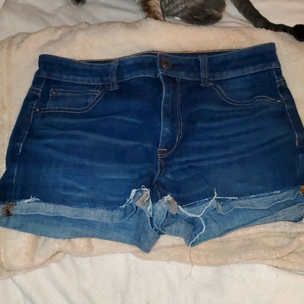 Hi-rise shorts